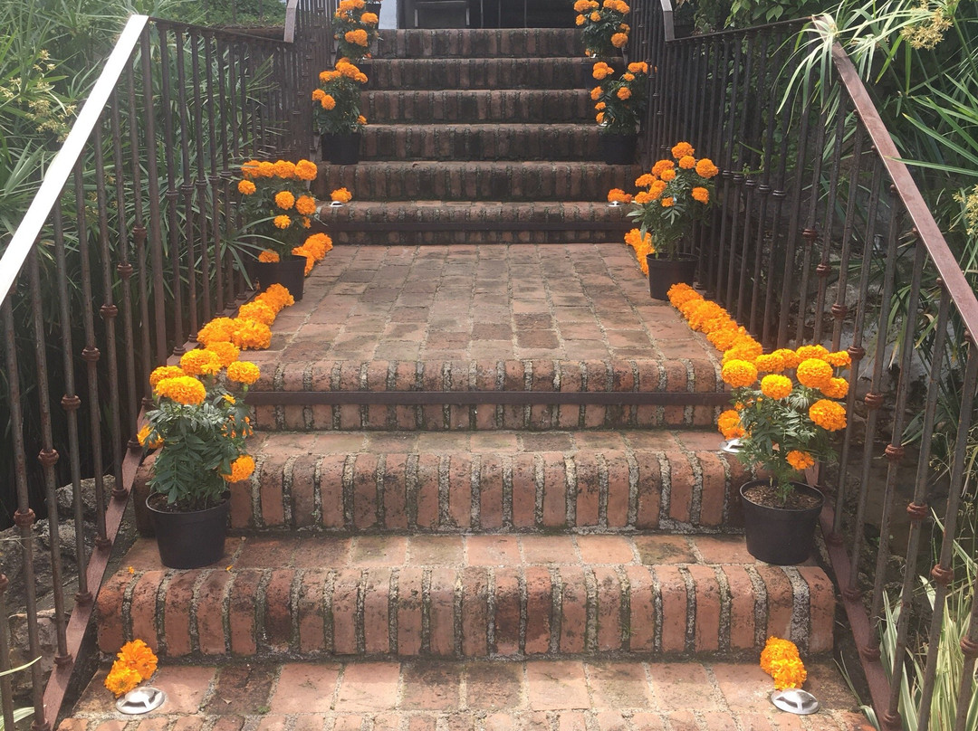 Maja Hotel Boutique主图