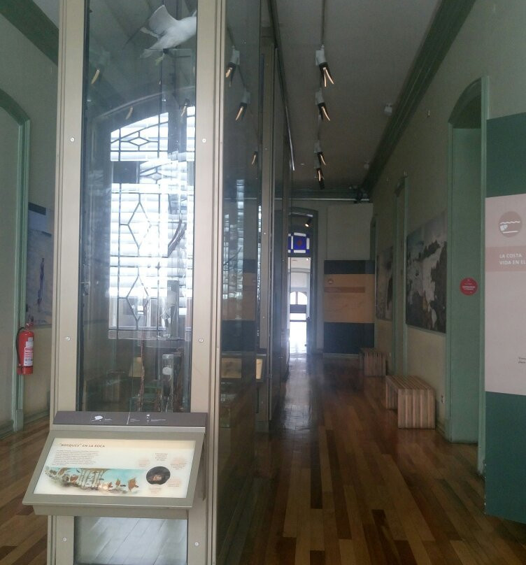 Museo de Historia Natural de Valparaiso-瓦尔帕莱索必去景点