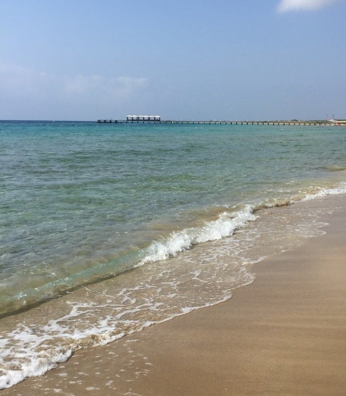 Bafra旅游攻略图片