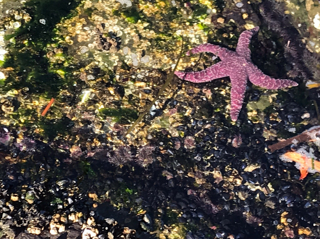 Cable Bay Trail景点图片