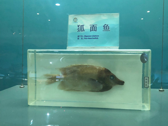 曲江海洋世界-西安市必去景点