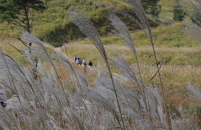 Tonomine Community Square-神河町必去景点