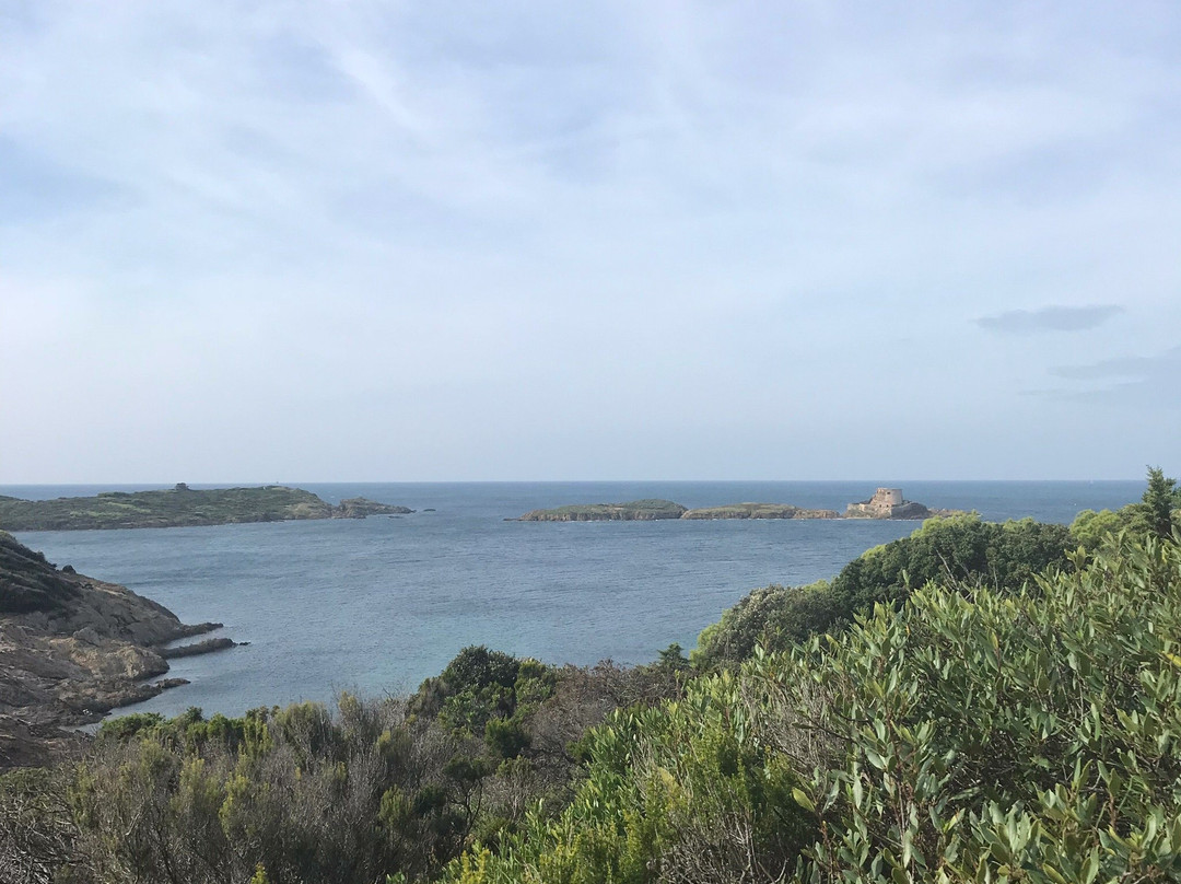 Plage noire du Langoustier-耶尔必去景点