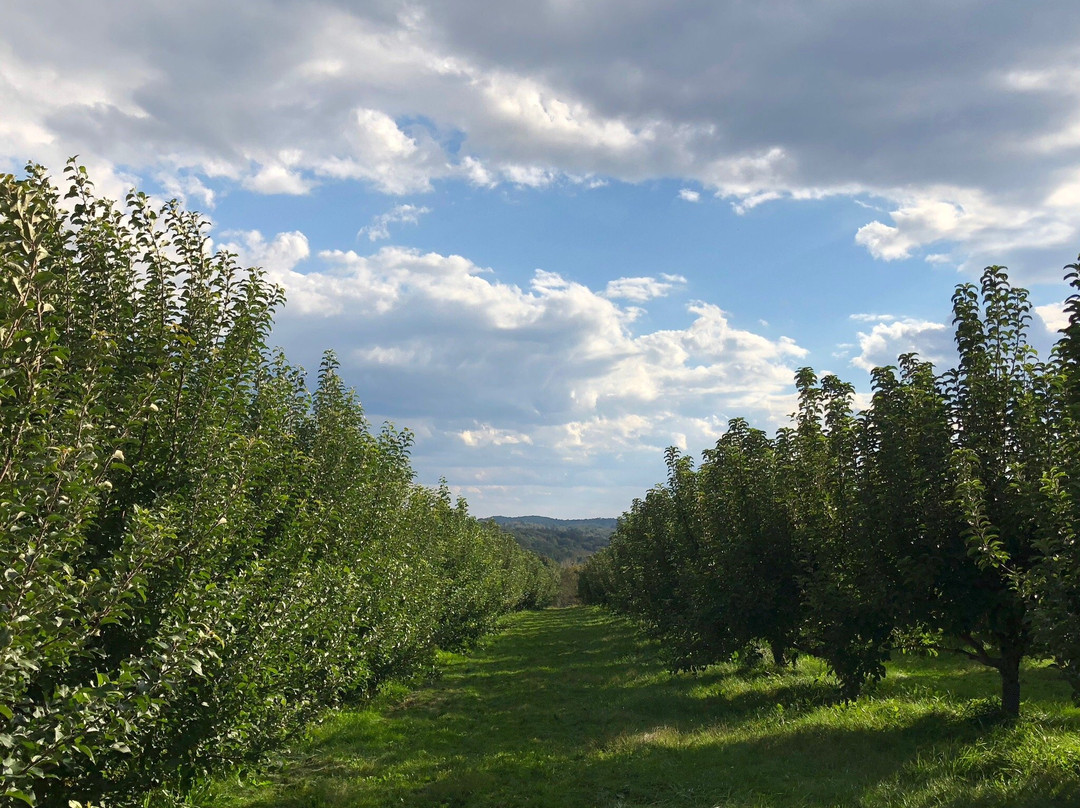 Stuart's Farm-Granite Springs必去景点