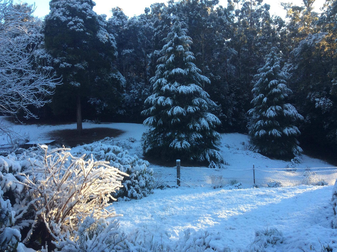 Love Grove Guest House主图