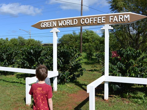Hi Hawaii Travel-火奴鲁鲁必去景点