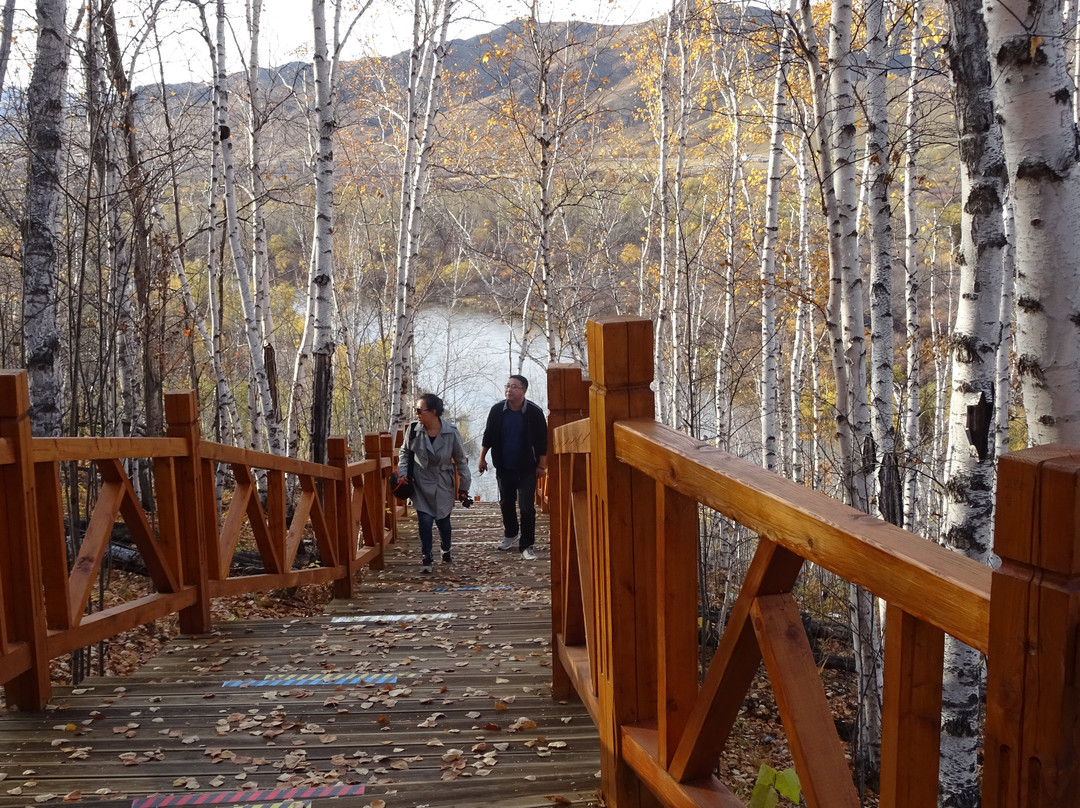 额尔古纳国家湿地公园-额尔古纳市必去景点