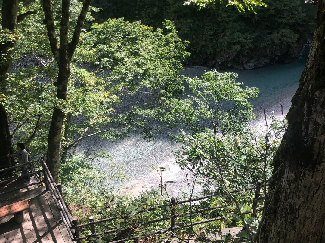 Kurobe Gorge Railway景点图片