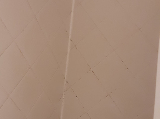 Gran Hotel Pucon主图