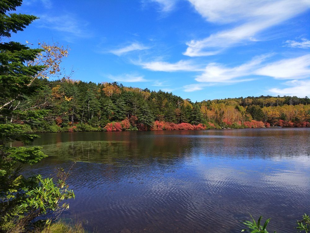 Pond Shirakoma景点图片