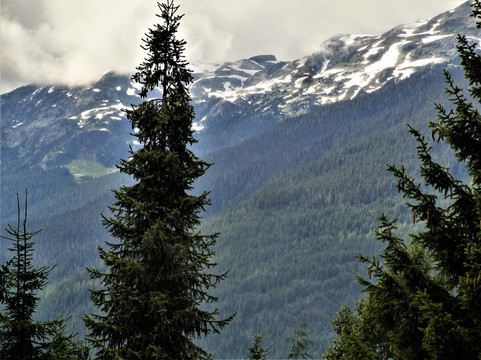 Tantalus Provincial Park-Wynndel必去景点