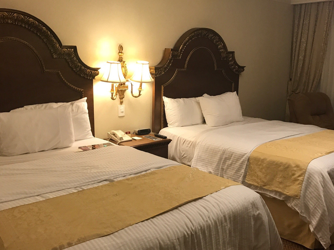 萨菲奢华皇谷酒店主图