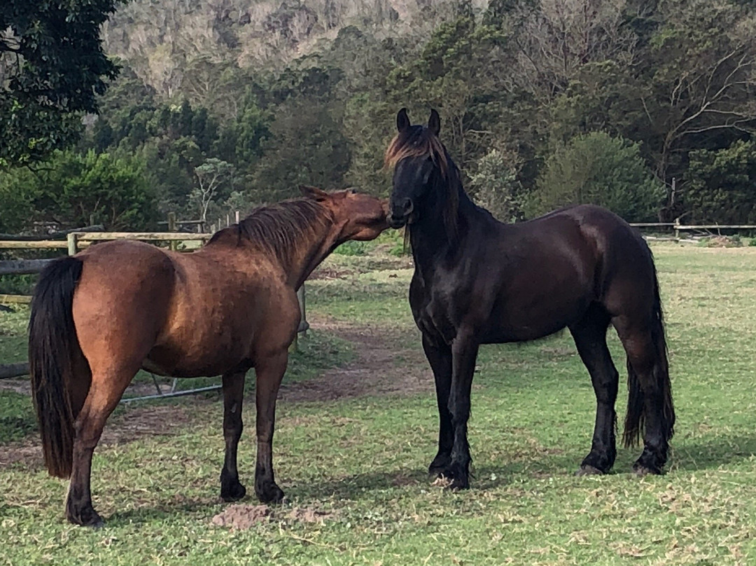 Boschrivier Farm & Stables-Wittedrift必去景点