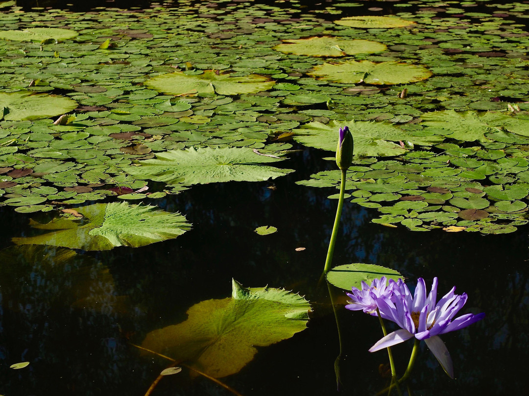 Caranbirini Conservation Reserve-Borroloola必去景点