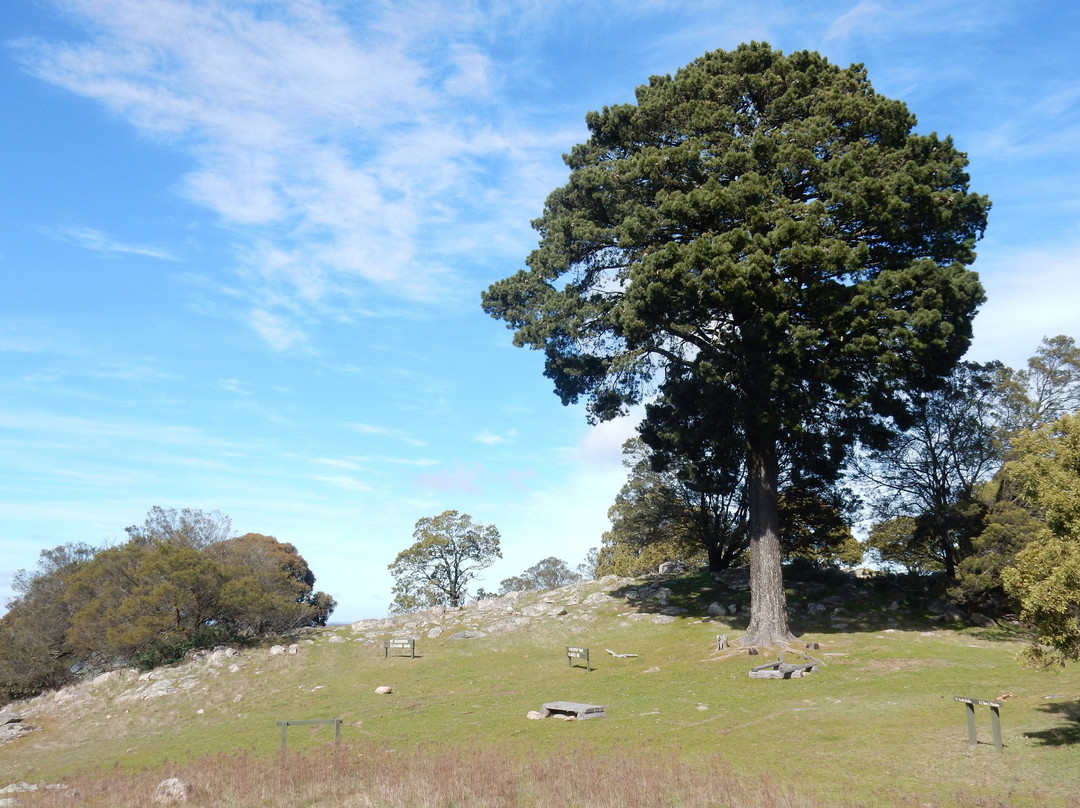 Clunes旅游景点-Mount Beckworth Scenic Reserve