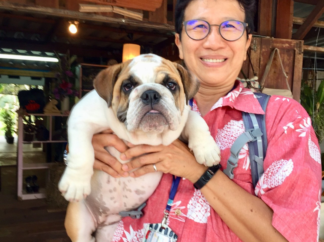 Pary Happy Tour-曼谷必去景点