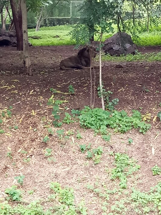 Pradyuman Park-杰拉果德必去景点