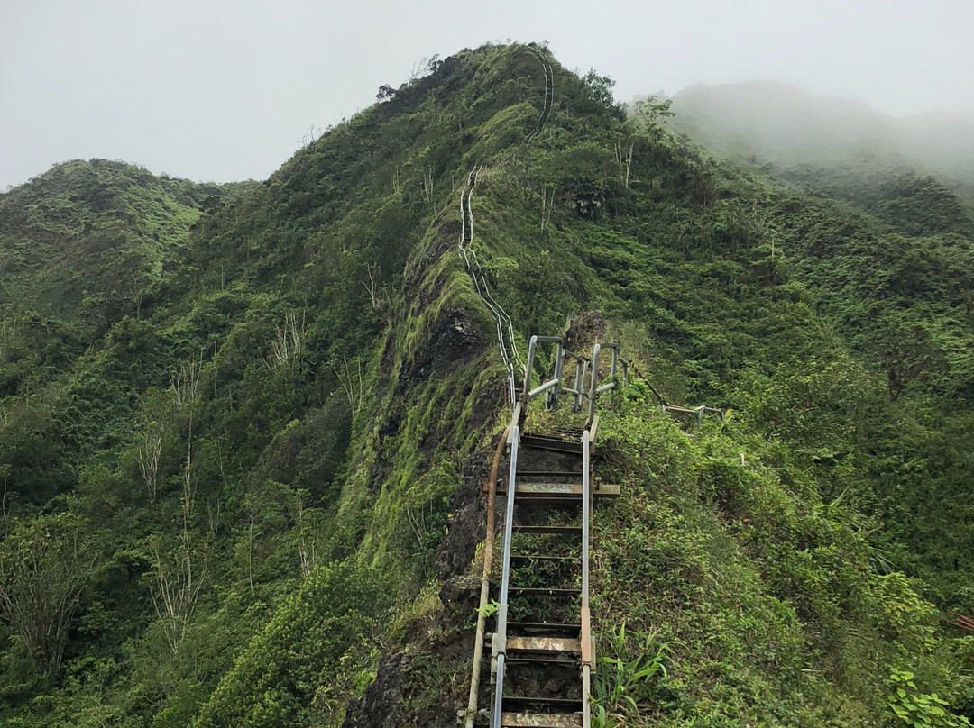 Haiku Stairs景点图片