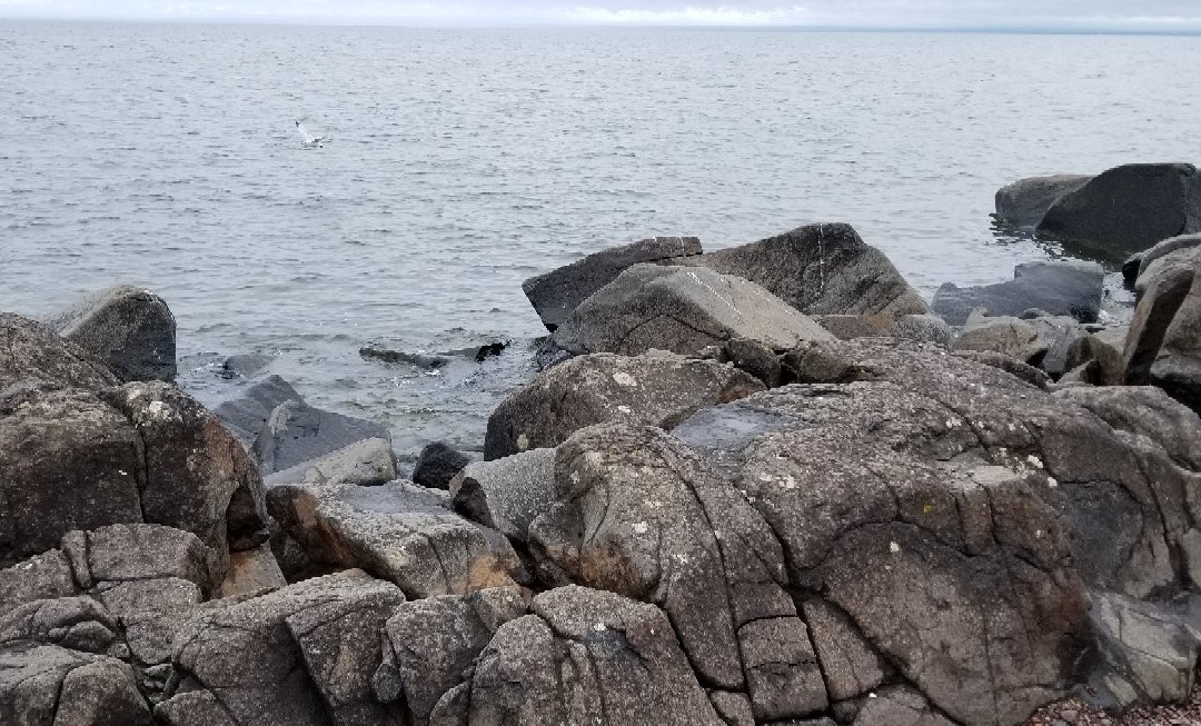 Brighton Beach Park-德卢斯必去景点