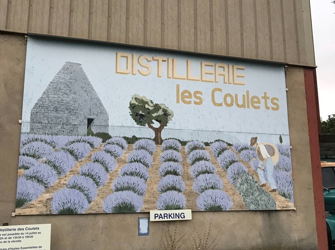 Distillerie de Lavande les Coulets景点图片