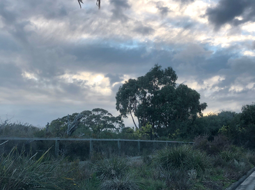 George Street Reserve-Sandringham必去景点