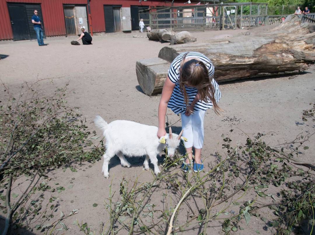 Nolhaga Lantgård景点图片