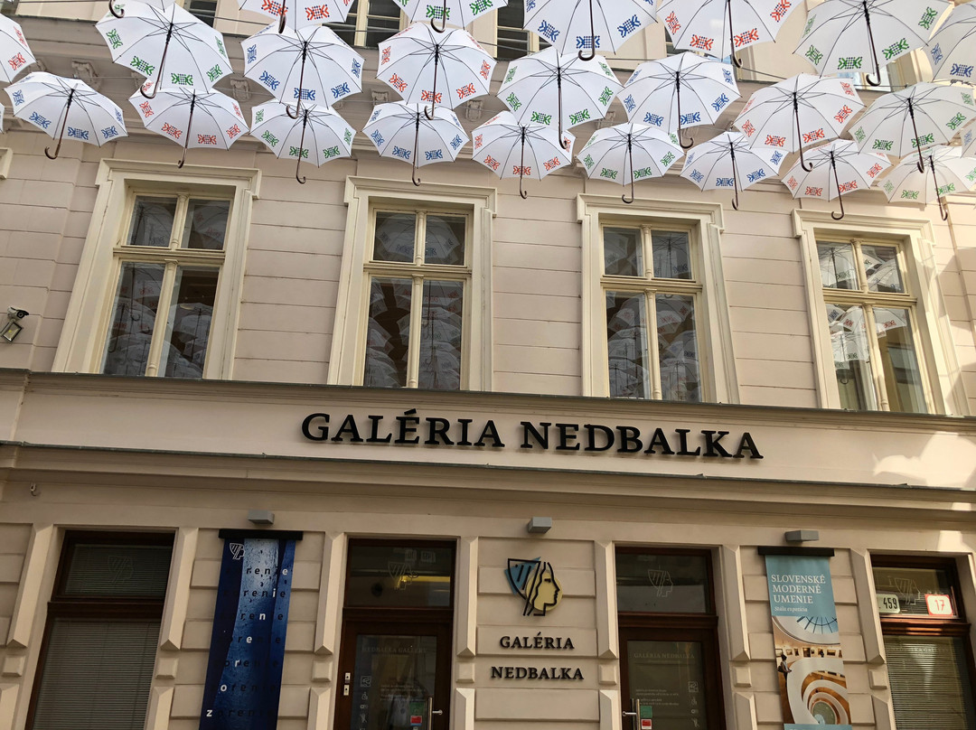 Nedbalka Gallery景点图片
