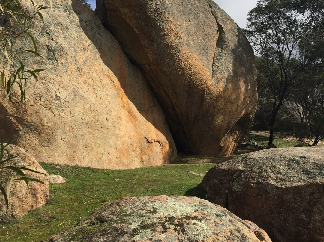 Inglewood旅游攻略图片