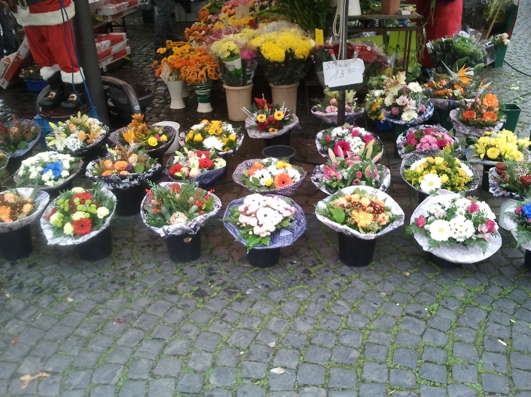 Wochenmarkt Offenbach-奥芬巴赫必去景点