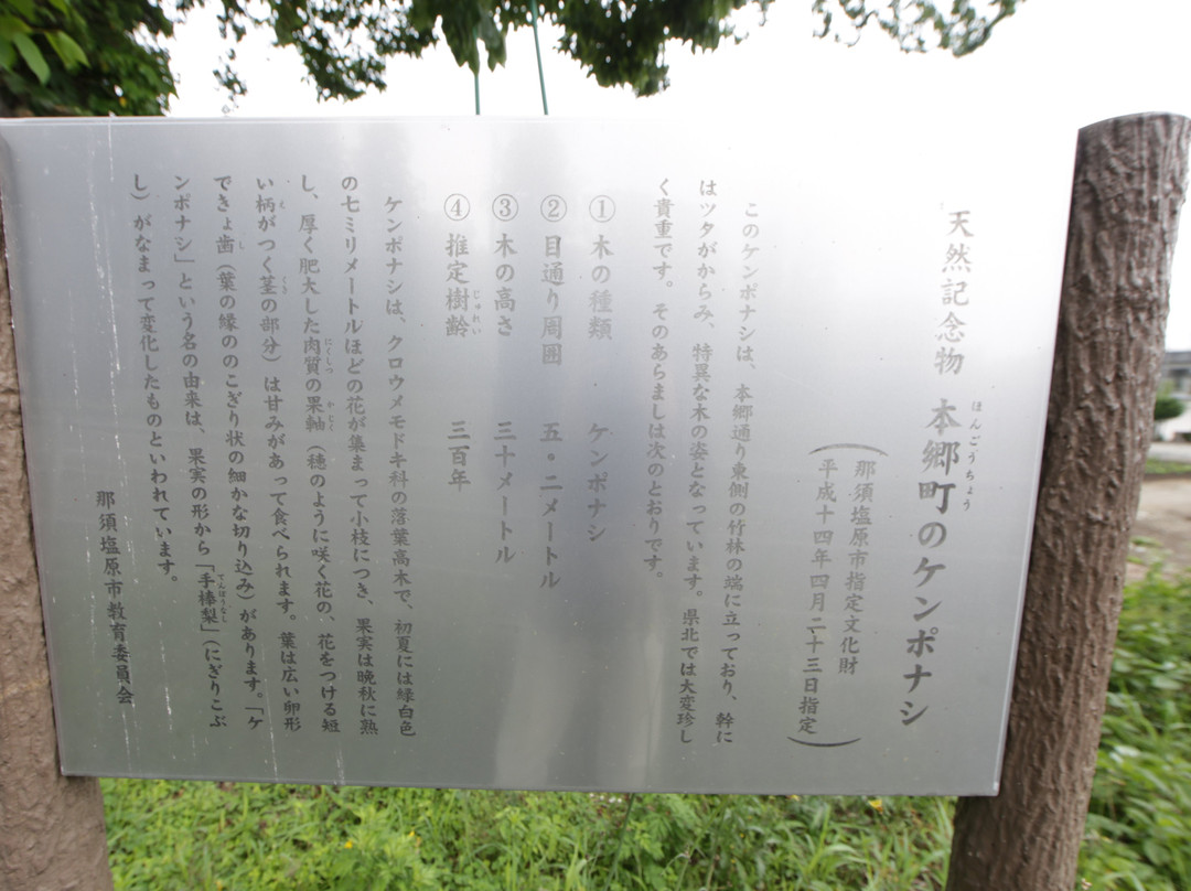 Hongocho Kenponashi-那须盐原市必去景点