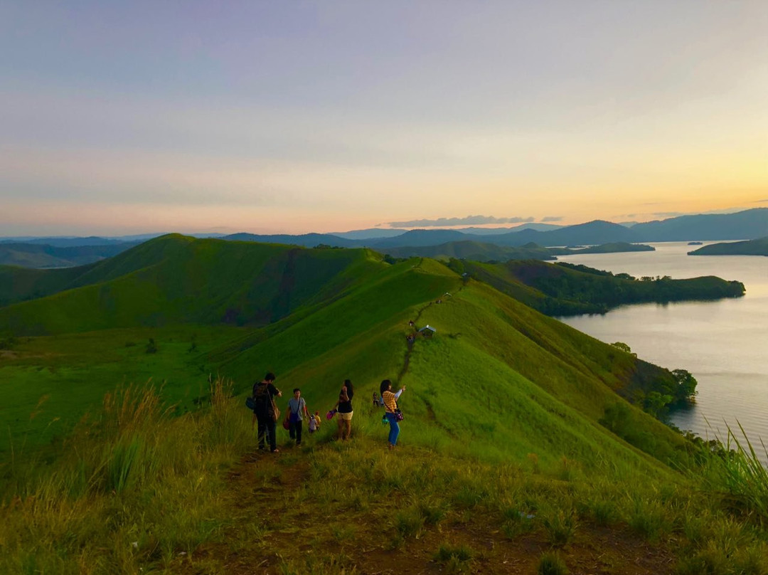 Bukit Teletubbies Kabupaten Jayapura-查亚普拉必去景点