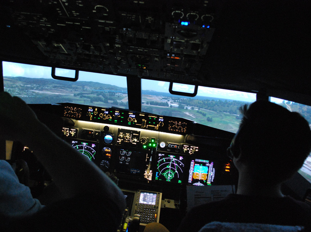 Synthetic737