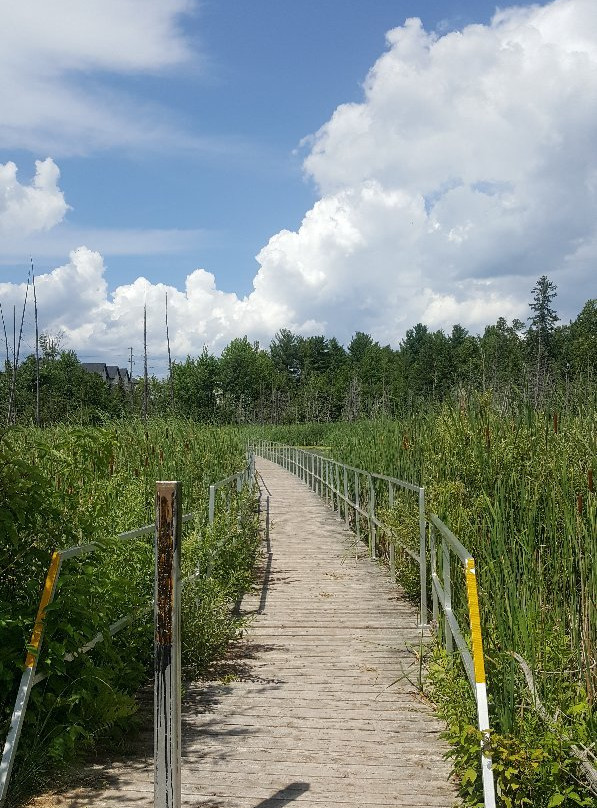 Bear Creek Exotic Wildlife Sanctuary景点图片
