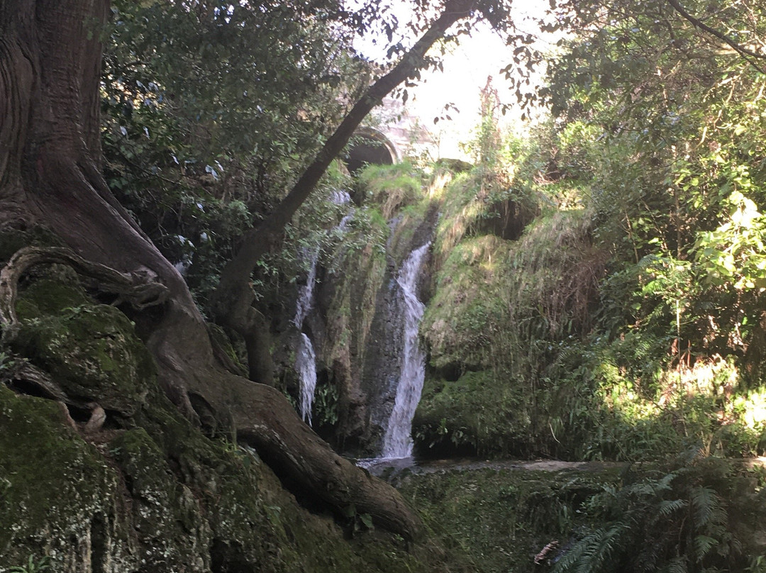 Maraetotara Falls景点图片