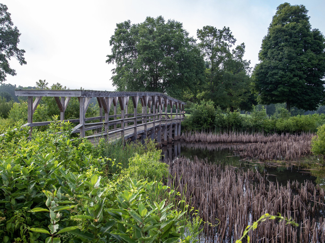 Black Swan Country Club-Georgetown必去景点