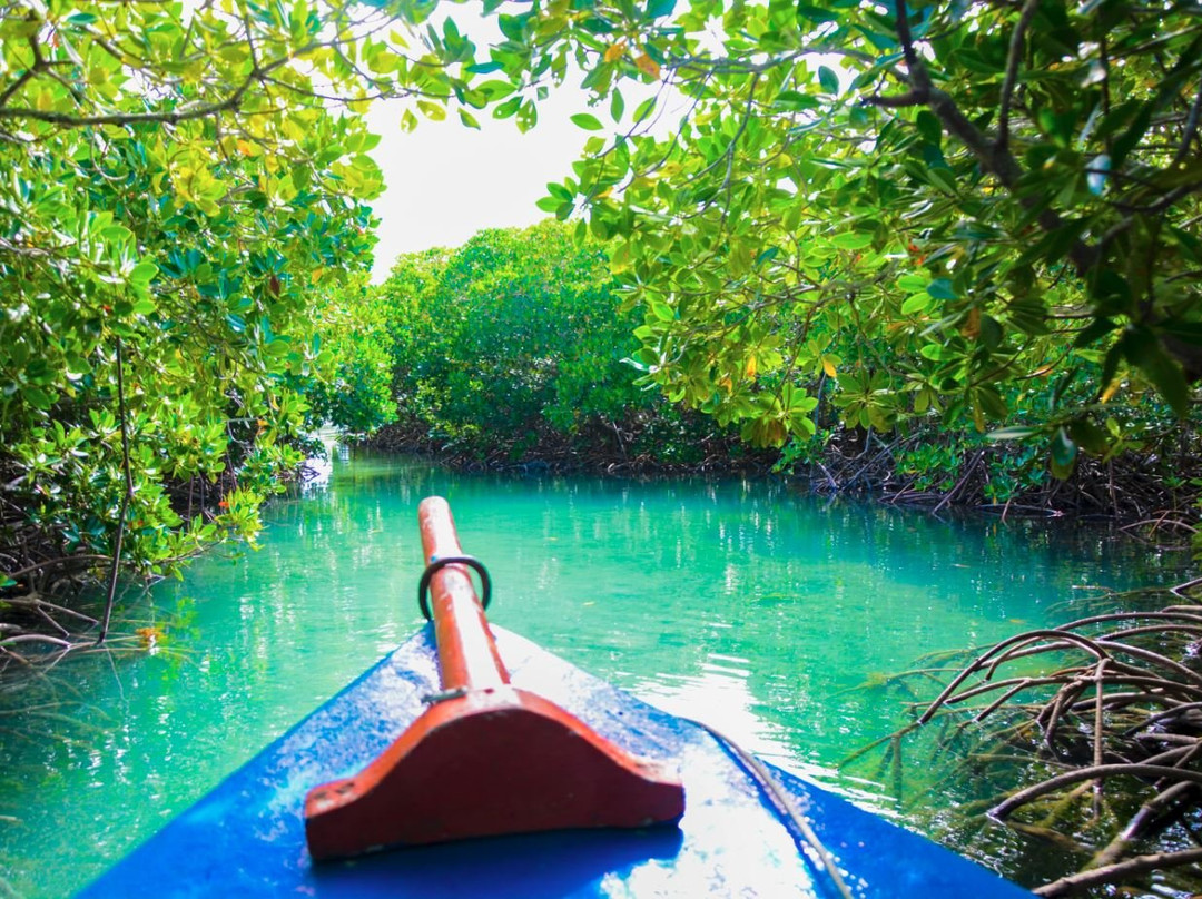 Sea Kayak Adventures景点图片