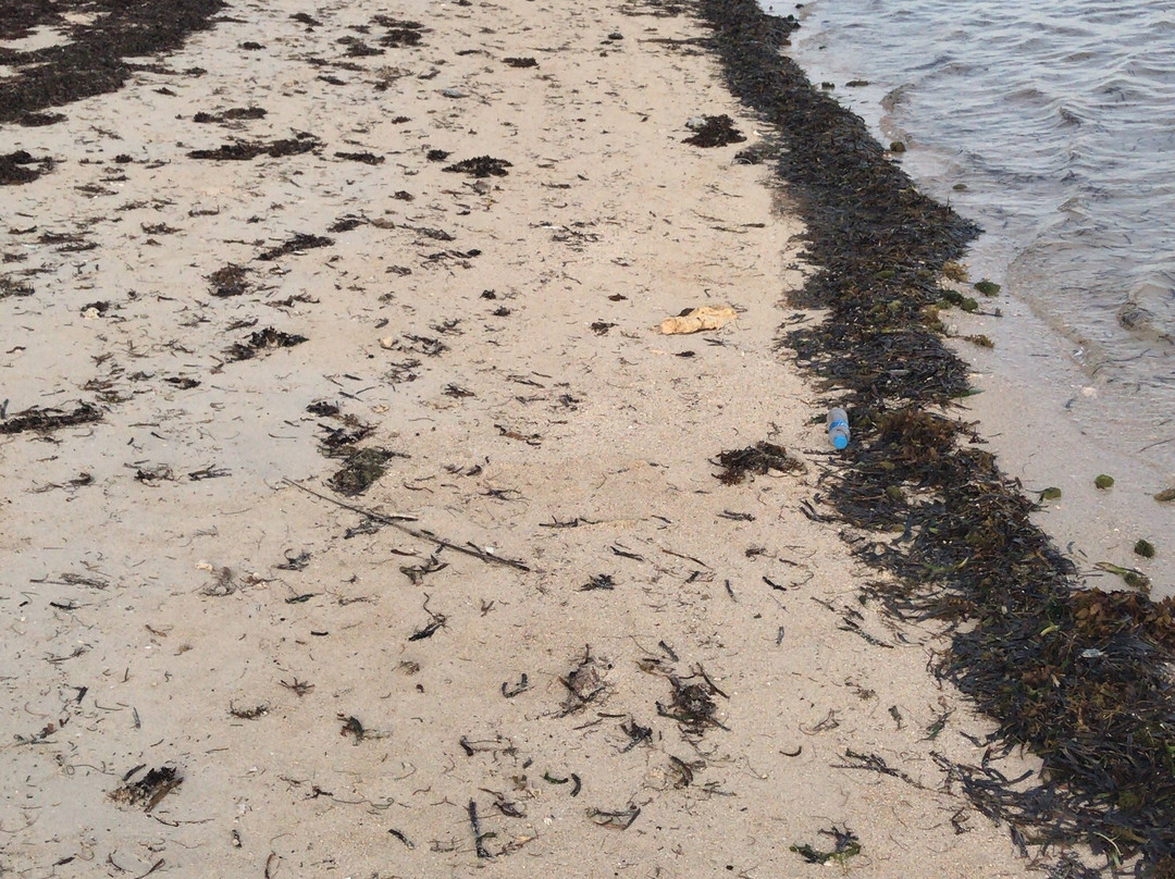 Calypso Resort主图