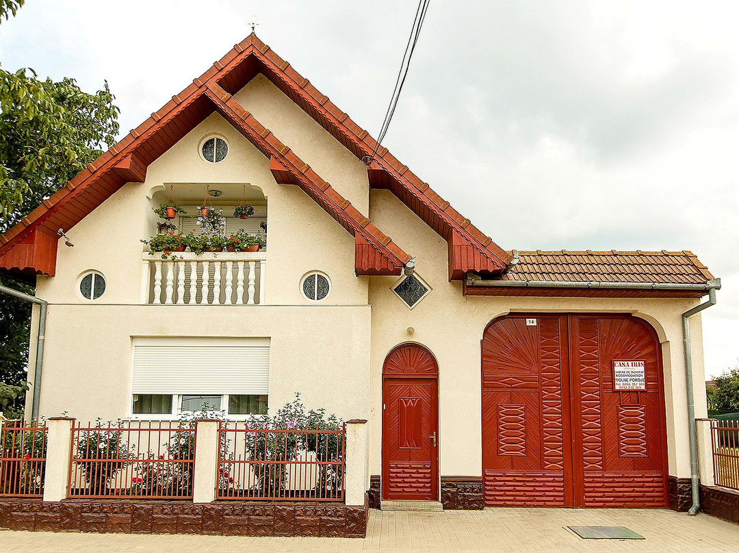 Casa IRIS Petresti