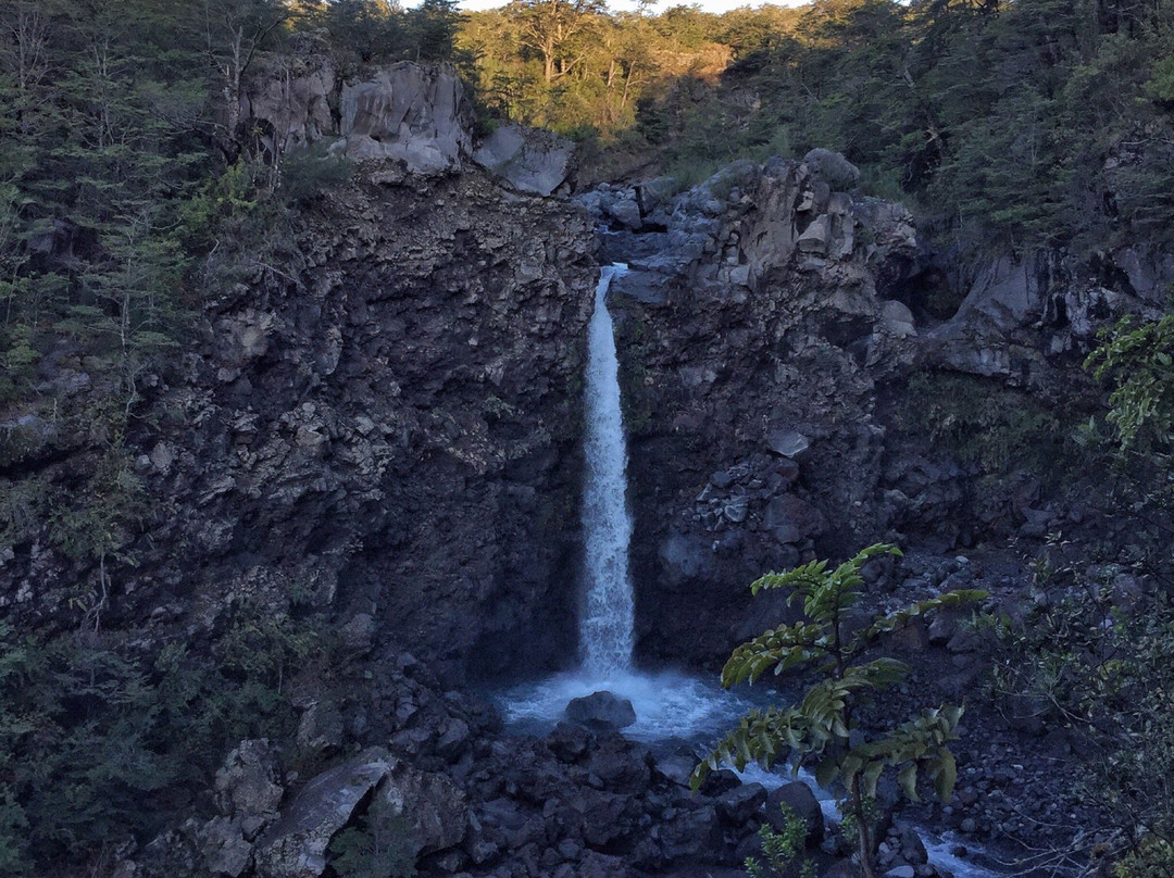 El Cerduo-普孔必去景点