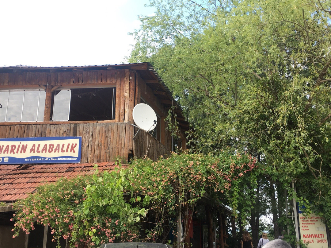 Narin Alabalik Lokantasi