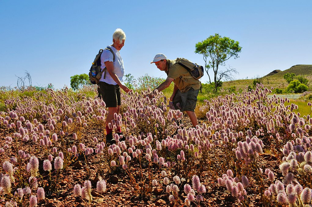 Outback Spirit-珀斯必去景点