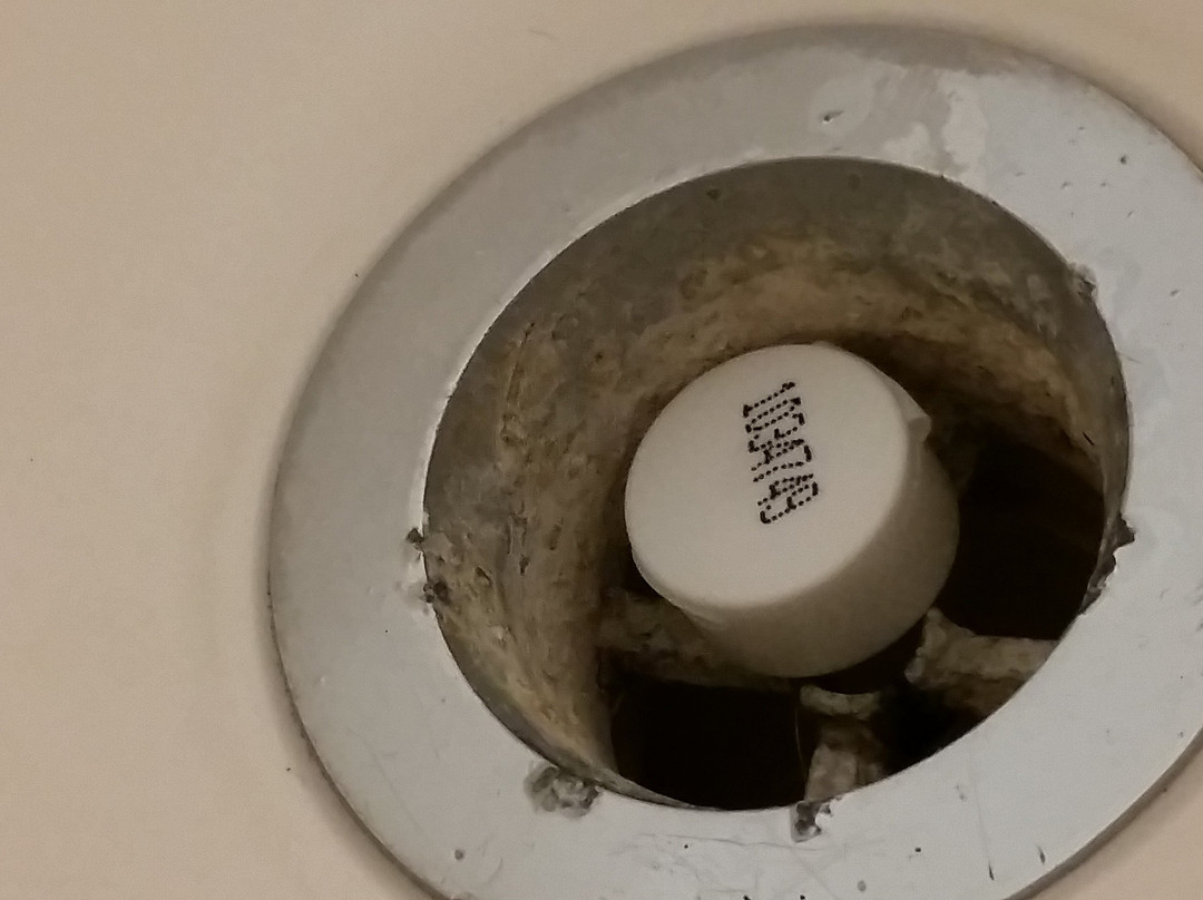 Dolphin Oceanfront Motel主图