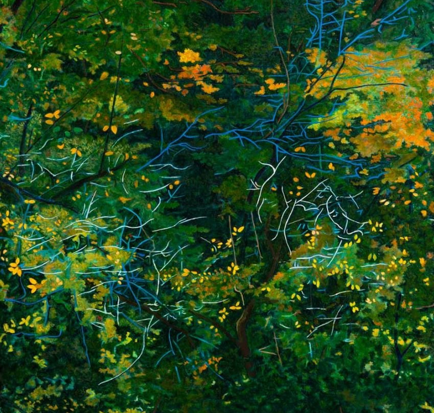 200 Main Gallery-欧克雷尔必去景点