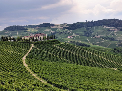 Langaround - Piedmont Wine Tours-阿尔巴必去景点