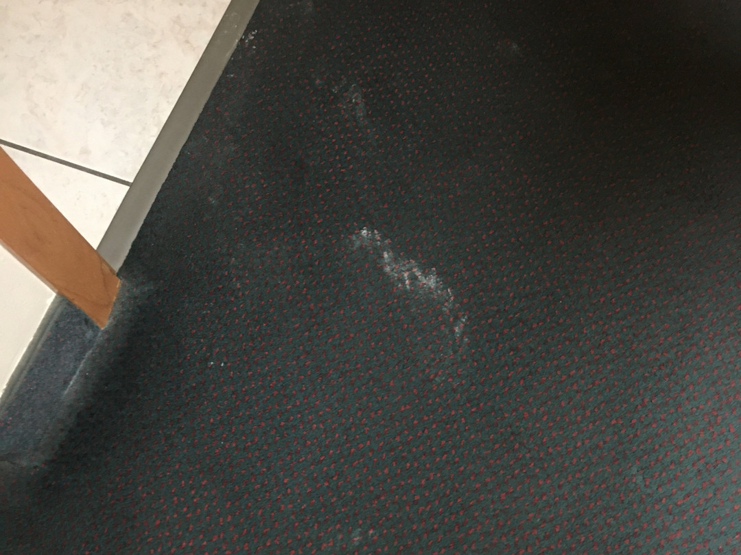 Super 8 by Wyndham Cresco IA主图