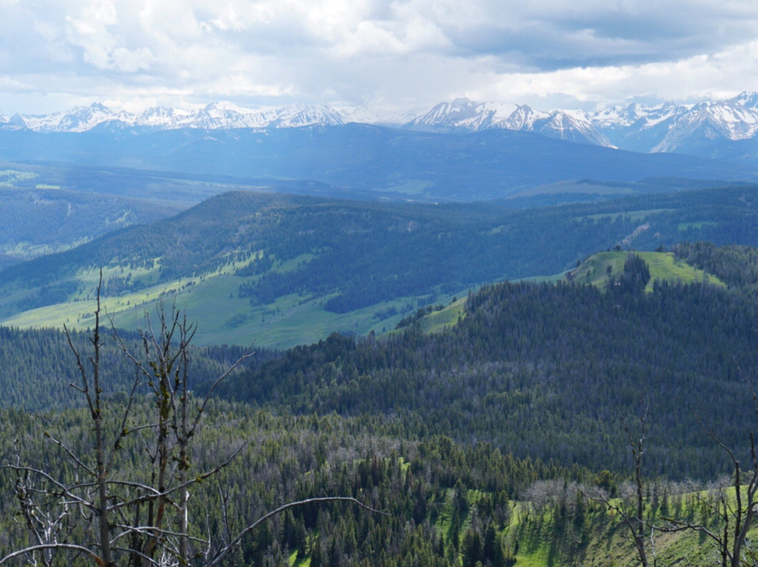 Daly Creek Trail-西黄石镇必去景点