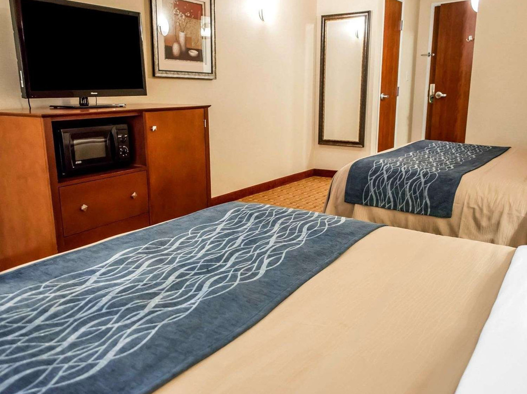 Comfort Inn & Suites Franklin主图