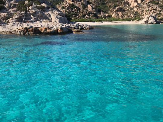 Shark Escursioni-帕劳必去景点