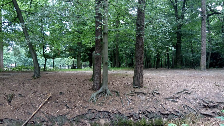 Wandelroute Zeisterbos-Zeist必去景点