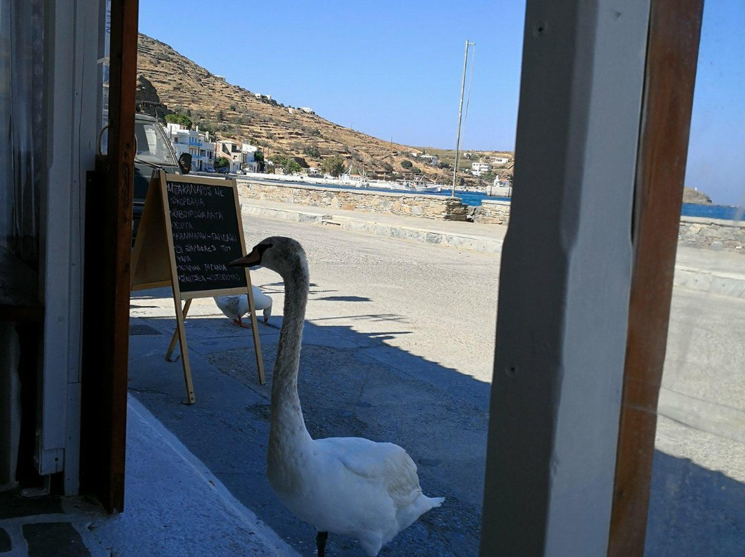 Ormos Korthiou餐馆和美食-To Penaki tou Gyalou